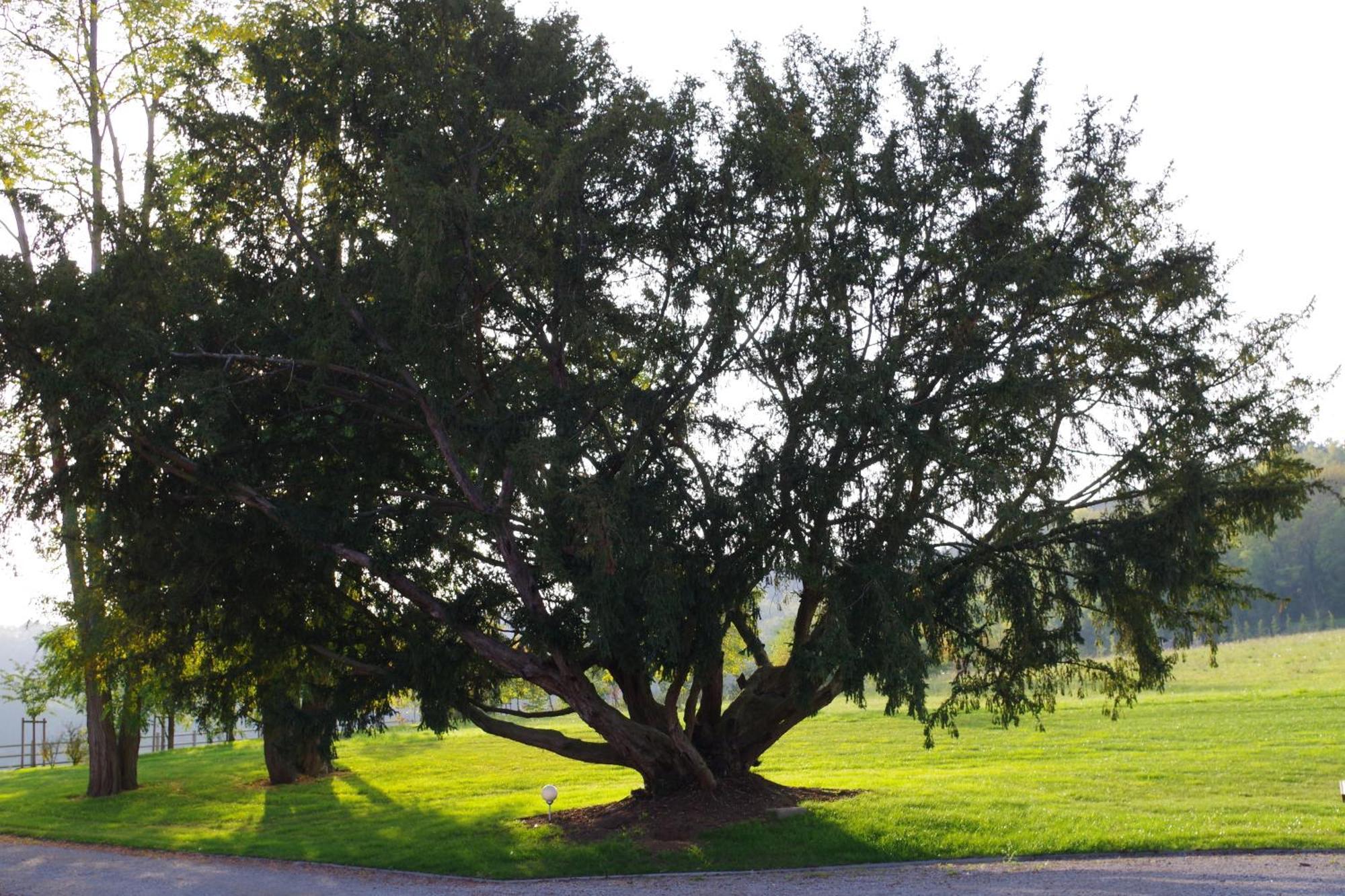 Le Domaine De Prin Acomodação com café da manhã Serzy-et-Prin Exterior foto